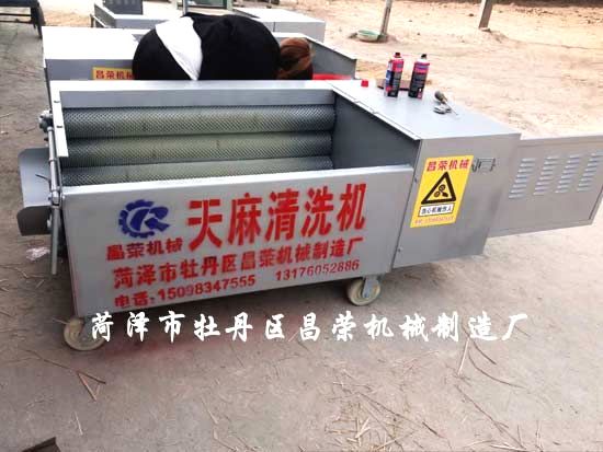 天麻清洗機(jī)